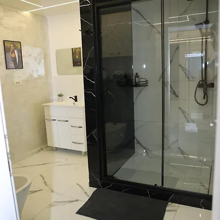 Elegant Home-free Parking Apartamento Timisoara